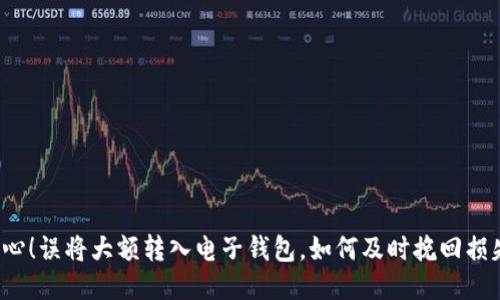 小心!误将大额转入电子钱包,如何及时挽回损失?