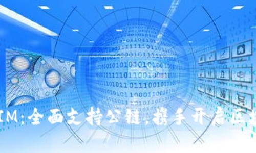 探索 TokenIM:全面支持公链,携手开启区块链的新纪元
