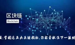洞悉币圈：掌握这五大关键指标，你能
