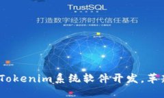 引领数字时代：Tokenim系统软件开发，