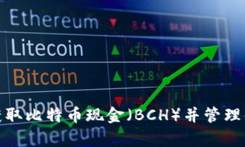 : 如何安全获取比特币现金(BCH)并管理你的数字财富