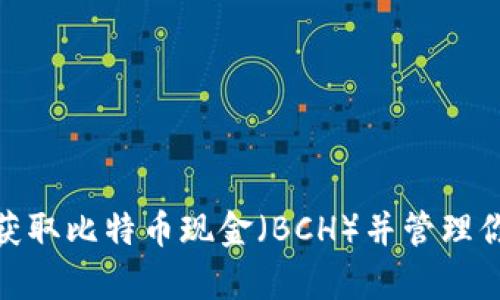 : 如何安全获取比特币现金(BCH)并管理你的数字财富