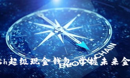 解锁Hcash超级现金钱包:掌握未来金融的钥匙