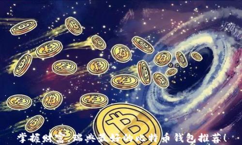 掌握财富,瑞典最好的比特币钱包推荐!