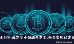 探索BCH：数字货币领域的新星，助你实