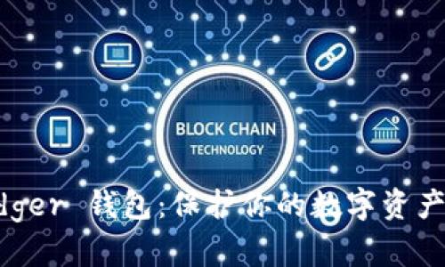 掌握 Ledger 钱包:保护你的数字资产从此无忧