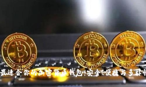 :选择最适合你的加密货币钱包:安全、便捷与多样性并存