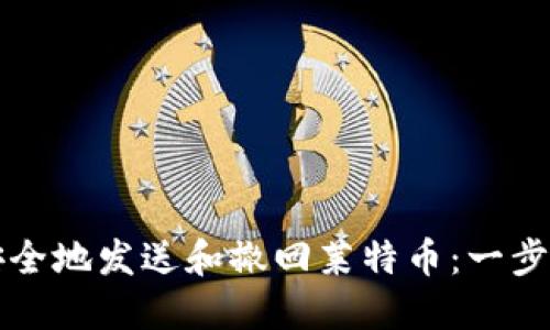 如何安全地发送和撤回莱特币:一步步指南
