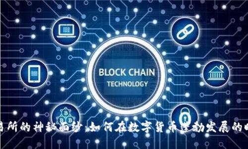 揭开币币网交易所的神秘面纱:如何在数字货币蓬勃发展的时代中大胆投资