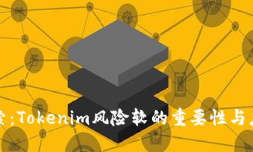深入探索:Tokenim风险软的重要性与应对策略