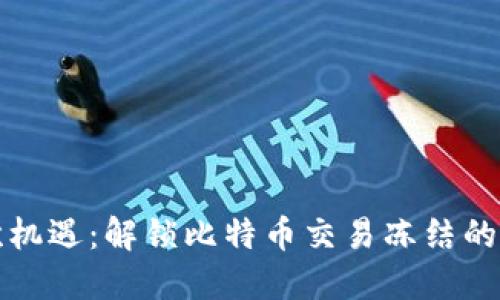 不要错过每一次机遇:解锁比特币交易冻结的原因与应对策略