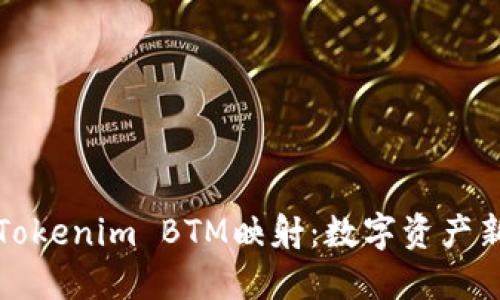 解密Tokenim BTM映射:数字资产新视野