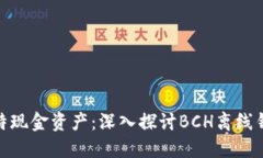 安全掌握你的比特现金资产：深入探讨