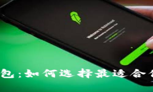 揭秘2017年比特币钱包：如何选择最适合你的数字财富保护工具