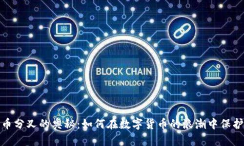探索比特币分叉的奥秘：如何在数字货币的浪潮中保护你的钱包