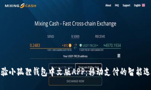 体验小狐狸钱包中文版APP：移动支付的智能选择