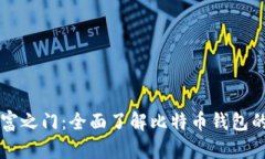 解锁数字财富之门：全面了解比特币钱