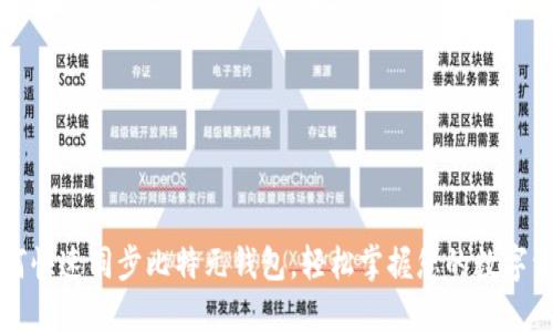 如何快速同步比特元钱包，轻松掌握您的数字资产