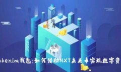 探索Tokenim钱包：如何借助NXT未来币实