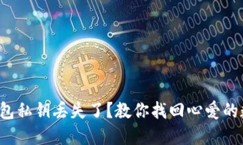 小狐狸钱包私钥丢失了？教你找回心爱的数字资产！