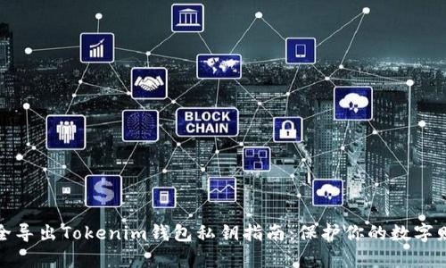 安全导出Tokenim钱包私钥指南：保护你的数字财富
