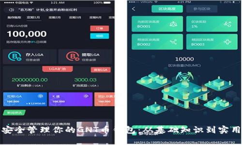 如何安全管理你的GNT币钱包：从基础知识到实用策略