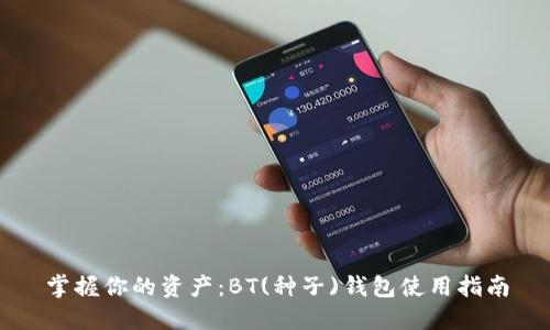 掌握你的资产：BT(种子)钱包使用指南