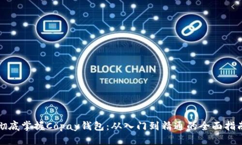 彻底掌握Copay钱包：从入门到精通的全面指南