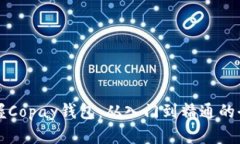 彻底掌握Copay钱包：从入门到精通的全