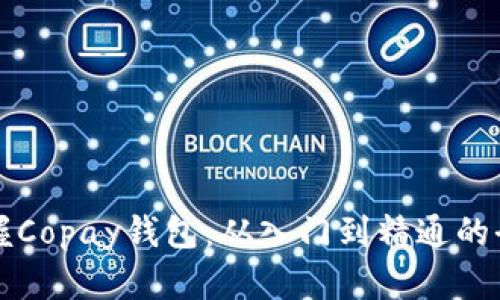 彻底掌握Copay钱包：从入门到精通的全面指南