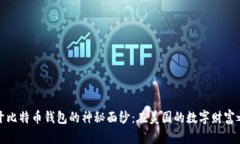 揭开比特币钱包的神秘面纱：在美国的