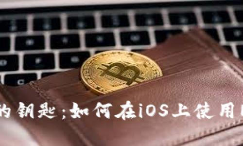 解锁数字资产的钥匙：如何在iOS上使用MetaMask钱包