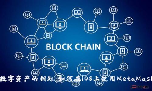 解锁数字资产的钥匙：如何在iOS上使用MetaMask钱包