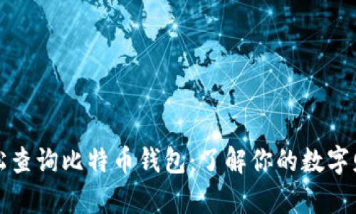 轻松查询比特币钱包：了解你的数字财富