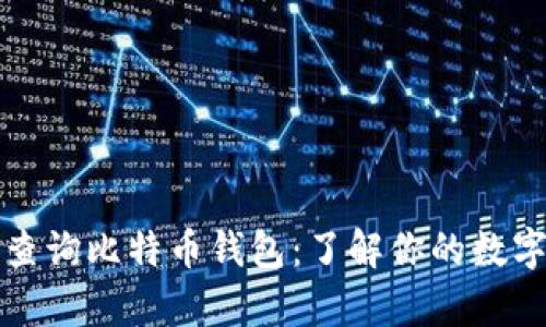 轻松查询比特币钱包：了解你的数字财富