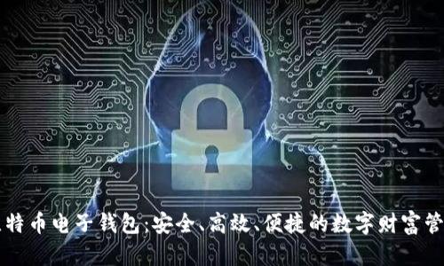 掌握比特币电子钱包：安全、高效、便捷的数字财富管理利器