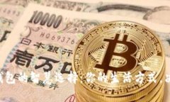 BTS轻钱包与重钱包的智慧选择：你的生