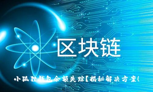 小狐狸钱包余额失踪？揭秘解决方案！