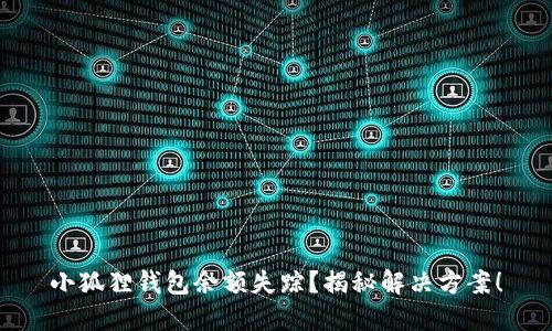 小狐狸钱包余额失踪？揭秘解决方案！
