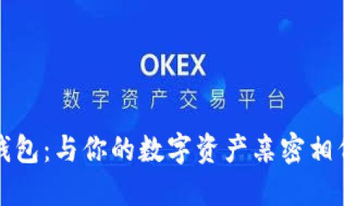 揭秘比特股钱包：与你的数字资产亲密相伴的鼓鼓钱包