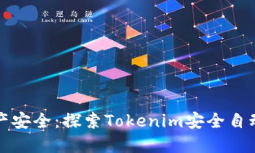 保障数字资产安全：探索Tokenim安全自动检测的未来