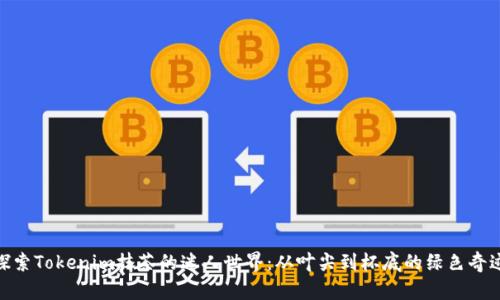 探索Tokenim抹茶的迷人世界：从叶尖到杯底的绿色奇迹