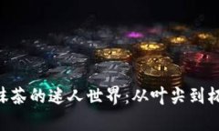 探索Tokenim抹茶的迷人世界：从叶尖到