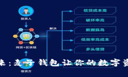 拥抱未来：麦子钱包让你的数字资产增值