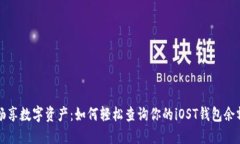 畅享数字资产：如何轻松查询你的iO