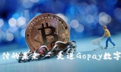 掌握现代支付的未来 - 走进Gopay数字钱