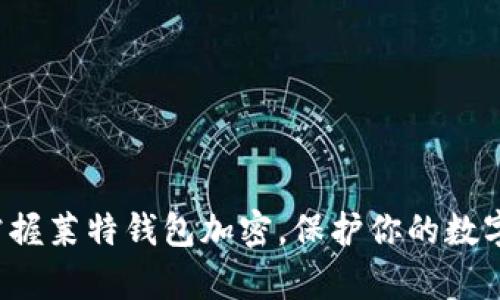 轻松掌握莱特钱包加密，保护你的数字财富！