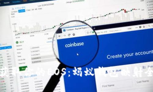 轻松获取你的EOS:蚂蚁钱包映射全攻略