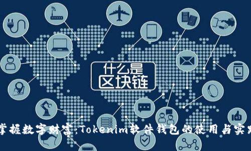 掌握数字财富：Tokenim软件钱包的使用与实践