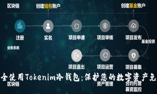 如何安全使用Tokenim冷钱包：保护您的数字资产免受风险